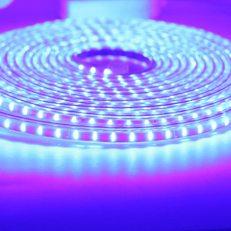 HTB11w_BTQzoK1RjSZFlq6yi4VXai