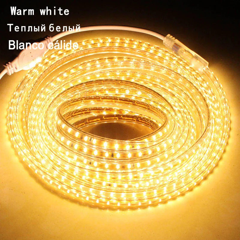 HTB1OlUKaPvuK1Rjy0Faq6x2aVXab