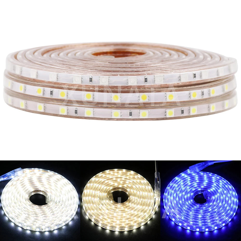 HTB1s4ejq7OWBuNjSsppq6xPgpXaL