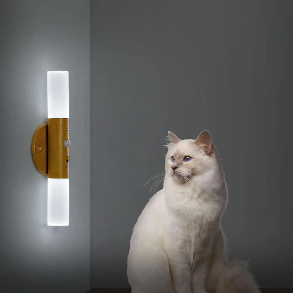 S0d908d2309b648dea826a9d936ac1a20A