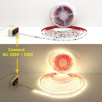 S1517cfa9d2e74244be9816cd464f522dV