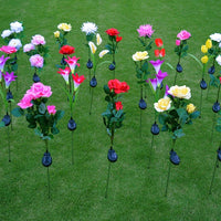 S151bddd897d0461382c6bc04ec14584cz