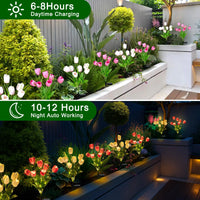 S3cafab8290b447be8558498d9c1ab33ah