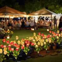 Sc54c003ad69e495cb029c229b74899e1Q